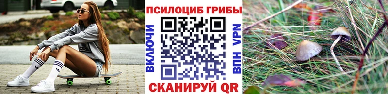 Галлюциногенные грибы Cubensis  цена   Стрежевой 